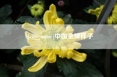 宁国中国金牌样子