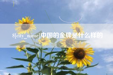 宁国中国的金牌是什么样的