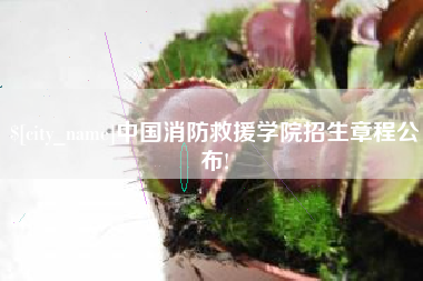 宁国中国消防救援学院招生章程公布!