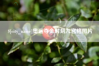 宁国奥运夺金时刻九宫格图片