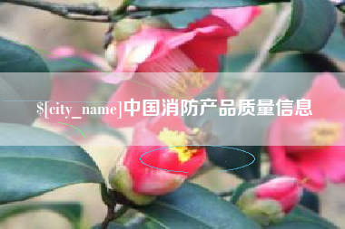 宁国中国消防产品质量信息