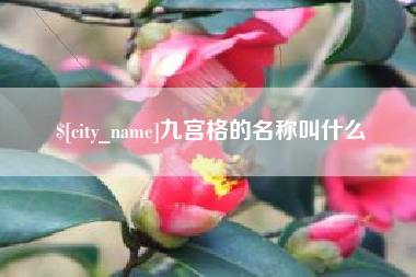 宁国九宫格的名称叫什么