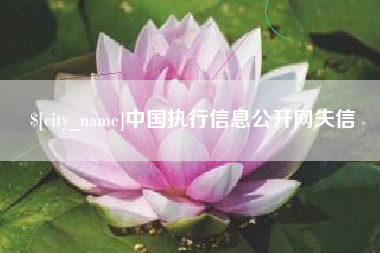 宁国中国执行信息公开网失信