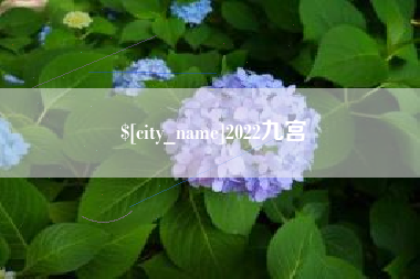 宁国2022九宫