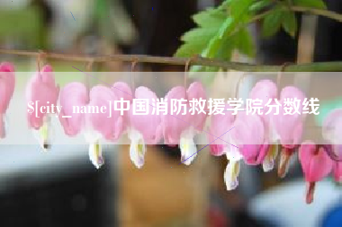 宁国中国消防救援学院分数线