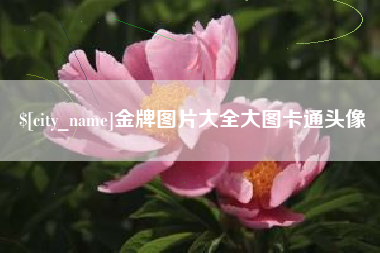 宁国金牌图片大全大图卡通头像