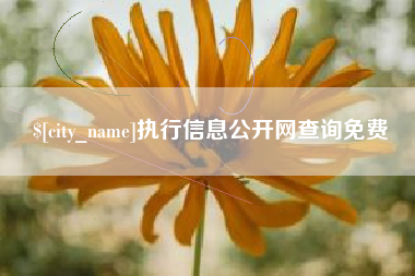 宁国执行信息公开网查询免费