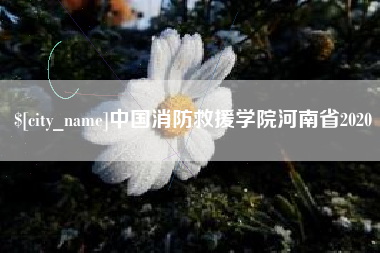 宁国中国消防救援学院河南省2020